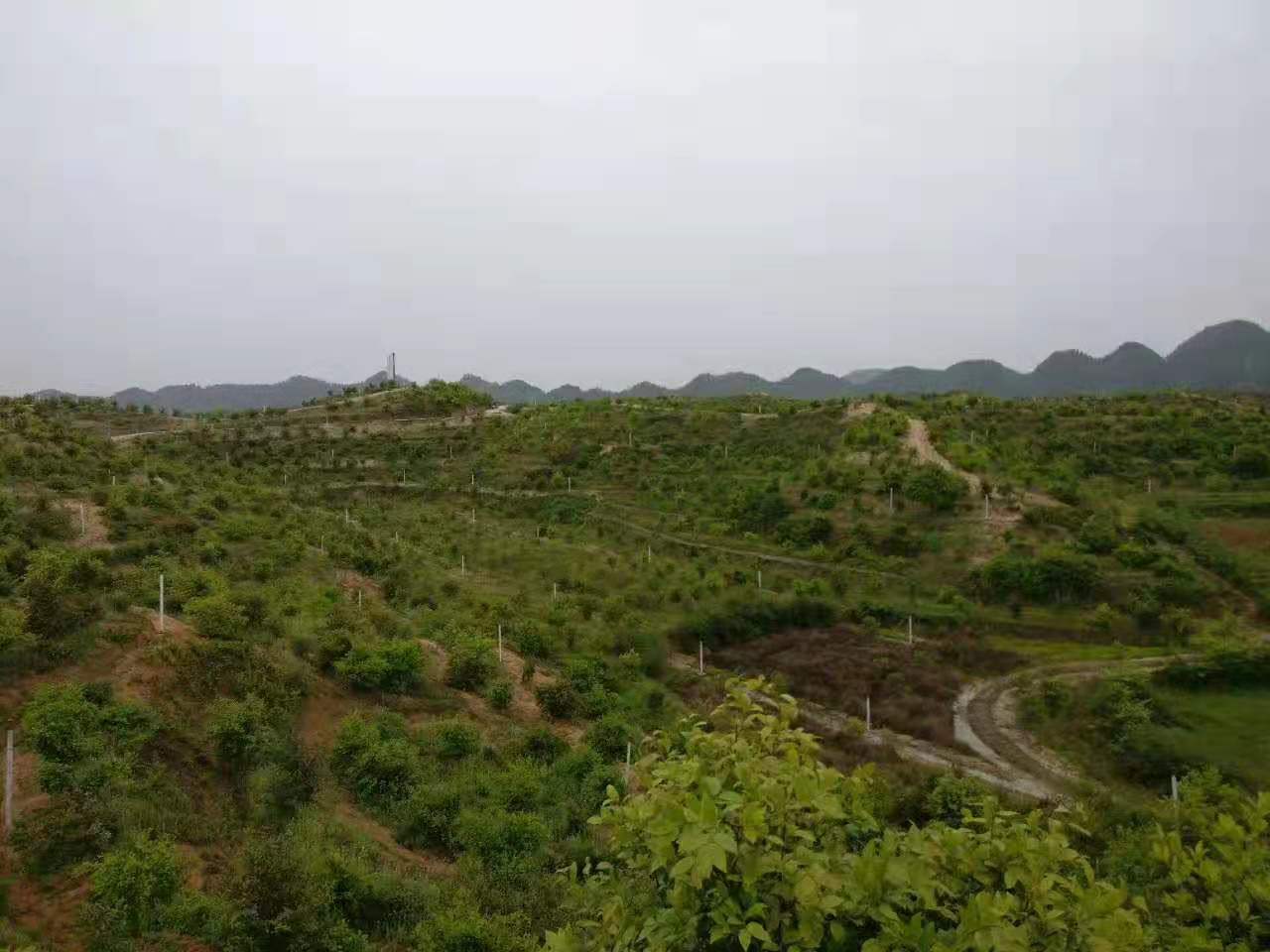 ƶš(й)ֻapp